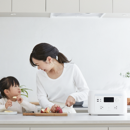 solarich 1000 - ソーラーパネル100W（セット）