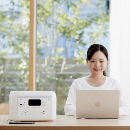 solarich 1000 - ソーラーパネル100W（セット）