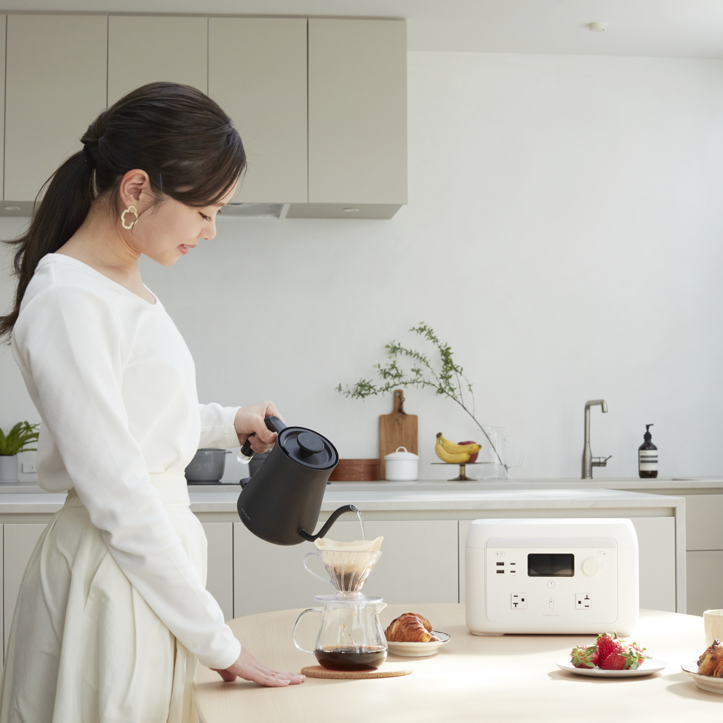 solarich 1000 - ソーラーパネル100W（セット）