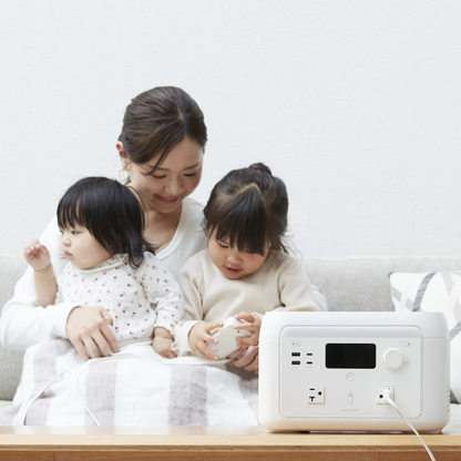 solarich 1000 - ソーラーパネル100W（セット）