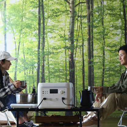 solarich 1500 - ソーラーパネル400W（セット）