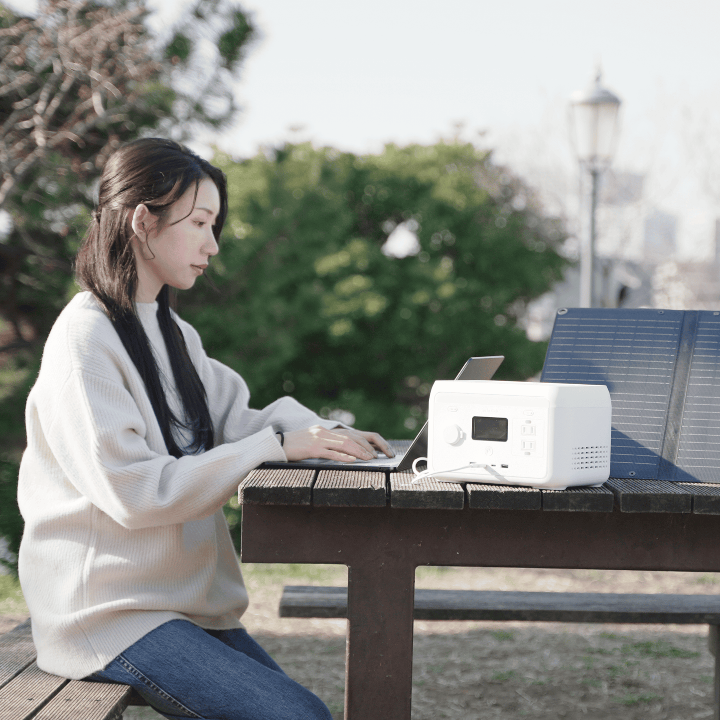 solarich 300（ソラリッチ 300）