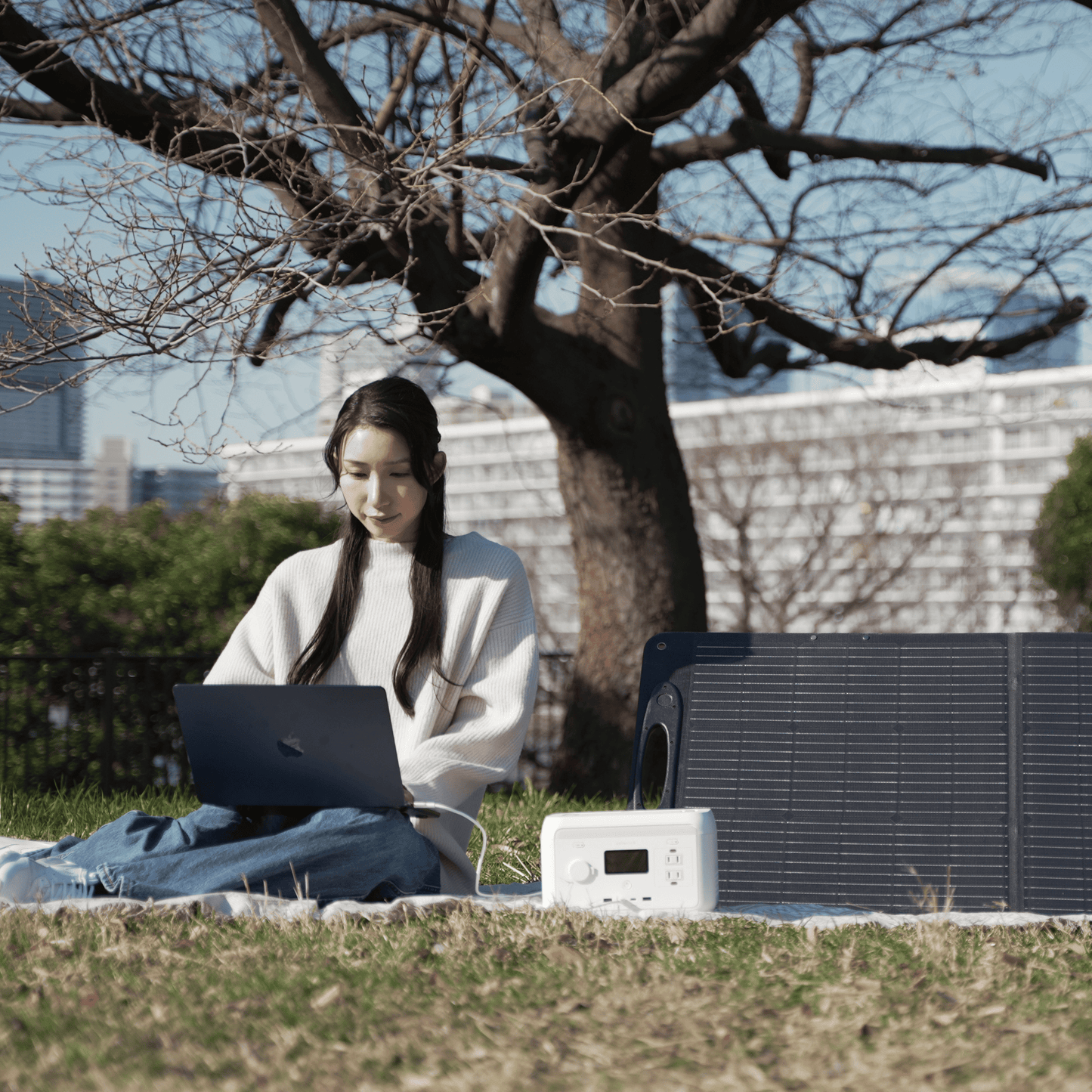 solarich 300（ソラリッチ 300）