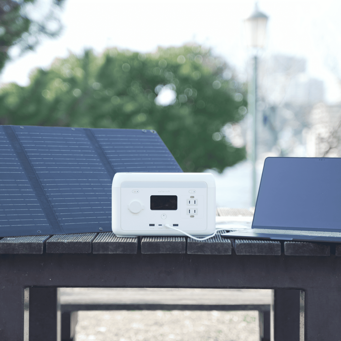 solarich 300（ソラリッチ 300）