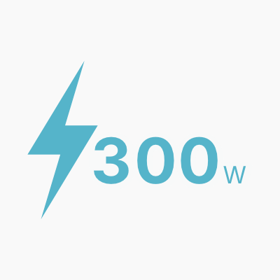 <p>定格出力<br/>300W</p>