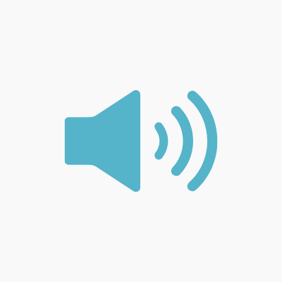 気にならない静音設計